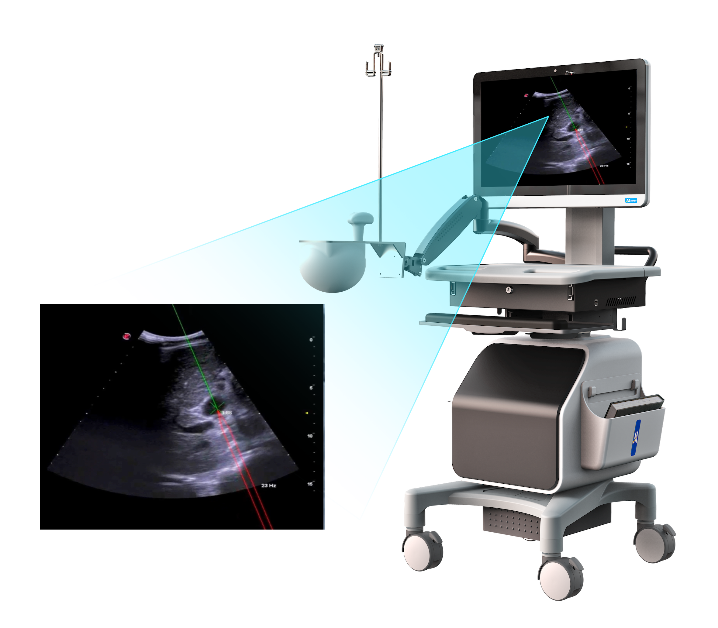 ��8ͷ�����(�й���½)-�ٷ���վ