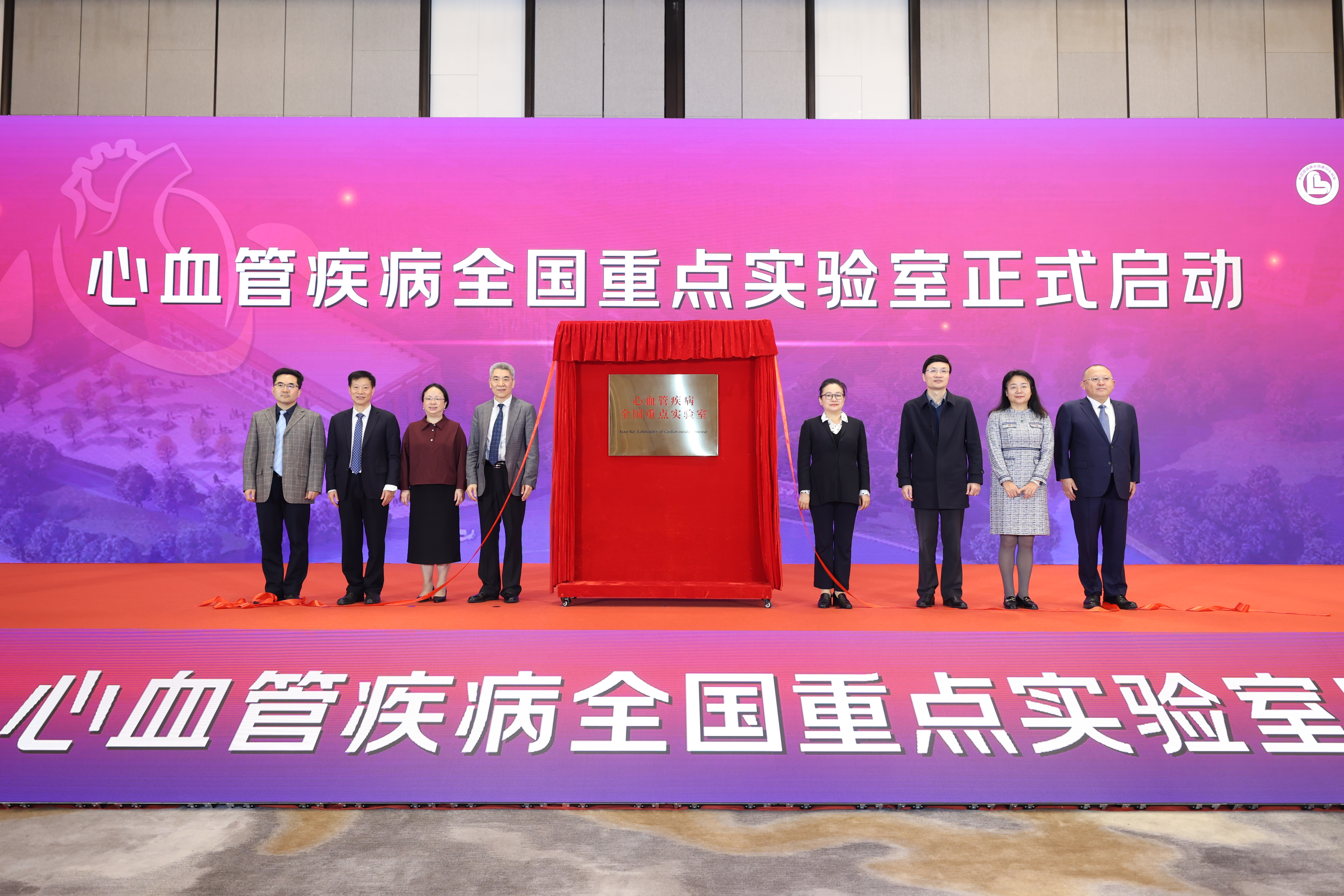 ��8ͷ�����(�й���½)-�ٷ���վ