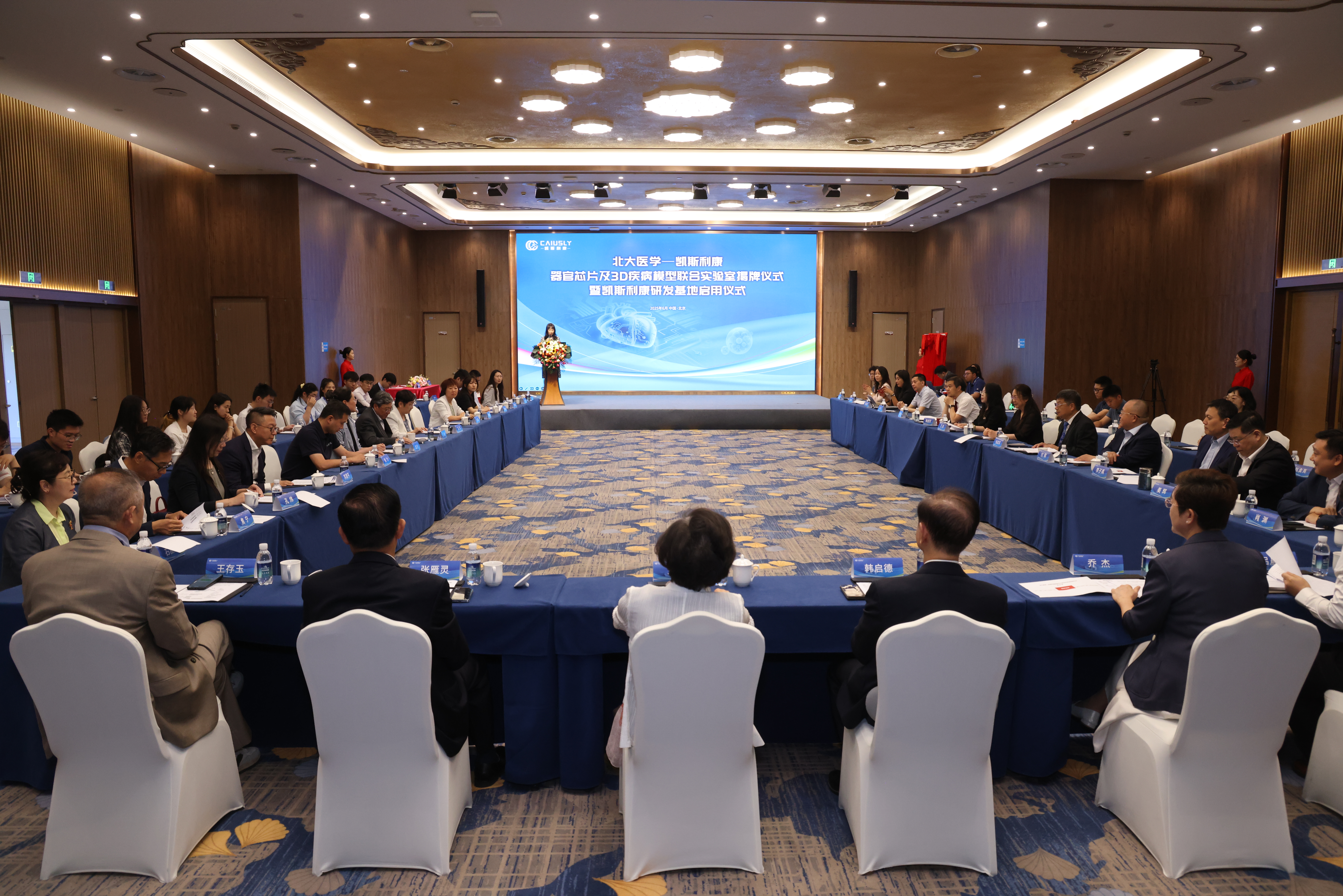 ��8ͷ�����(�й���½)-�ٷ���վ