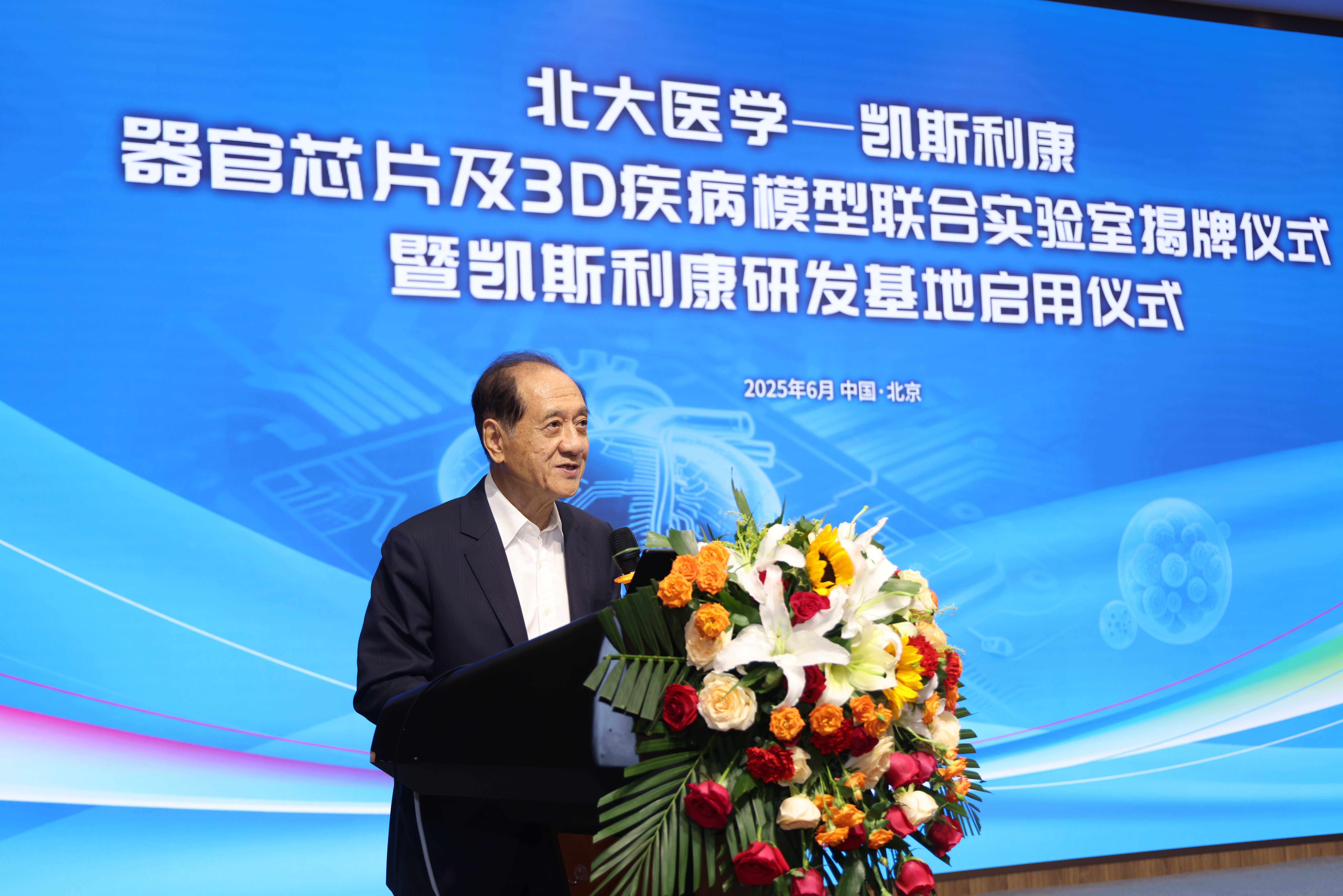 ��8ͷ�����(�й���½)-�ٷ���վ