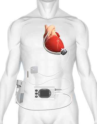 Áú8Í·ºÅÍæ¼Ò(Öйú´ó½)-¹Ù·½ÍøÕ¾