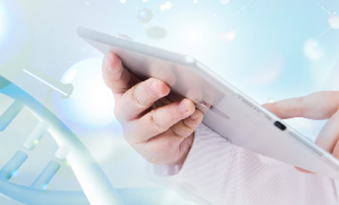 ��8ͷ�����(�й���½)-�ٷ���վ