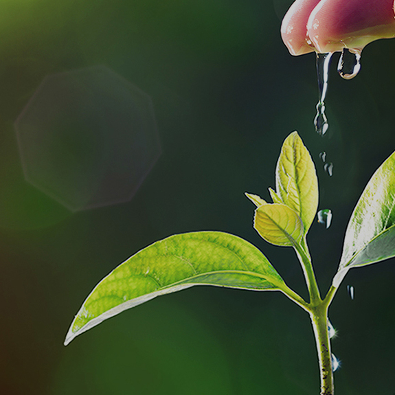 Áú8Í·ºÅÍæ¼Ò(Öйú´ó½)-¹Ù·½ÍøÕ¾