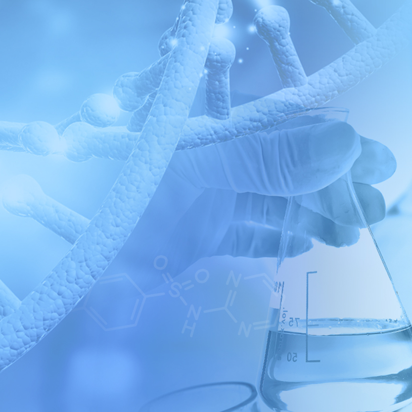 ��8ͷ�����(�й���½)-�ٷ���վ