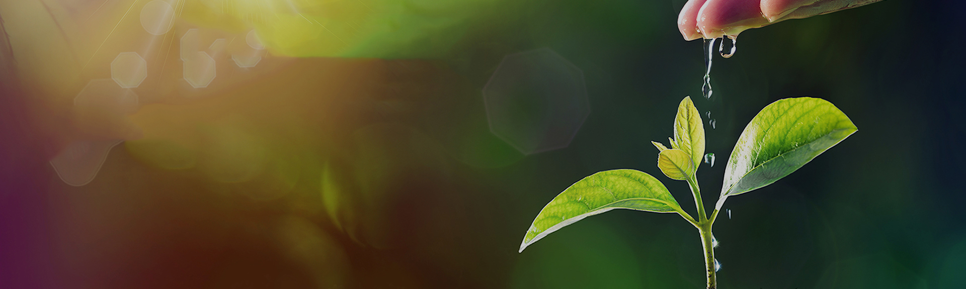 ��8ͷ�����(�й���½)-�ٷ���վ