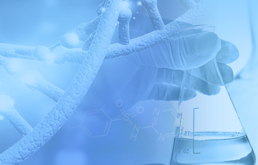 ��8ͷ�����(�й���½)-�ٷ���վ