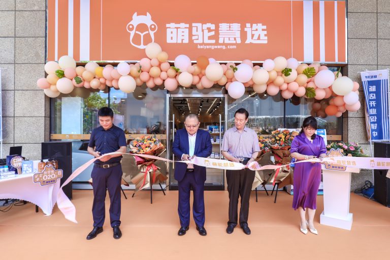 ��8ͷ�����(�й���½)-�ٷ���վ