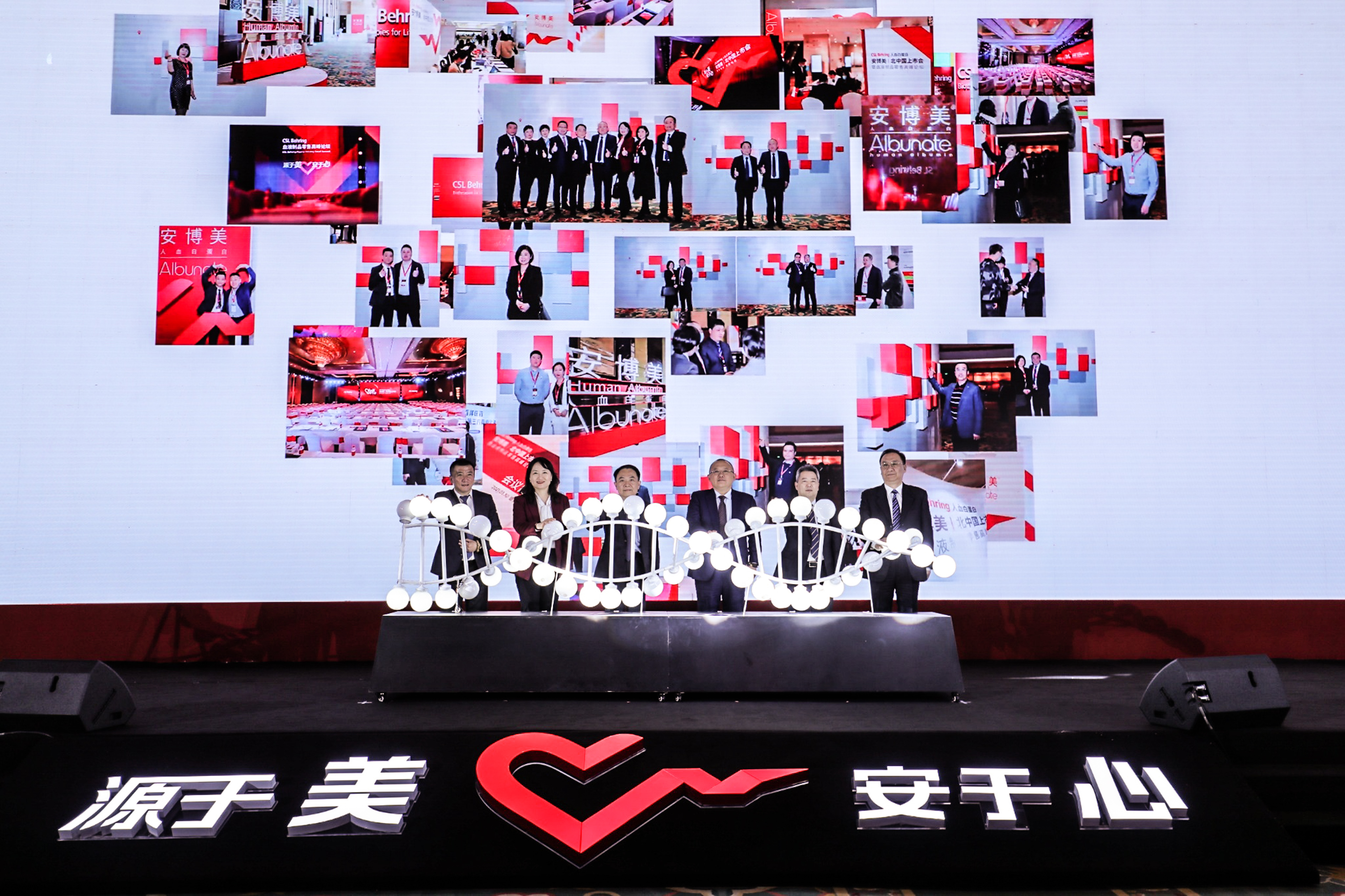 ��8ͷ�����(�й���½)-�ٷ���վ