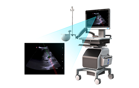 ��8ͷ�����(�й���½)-�ٷ���վ